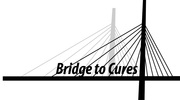 Bridge to Cures